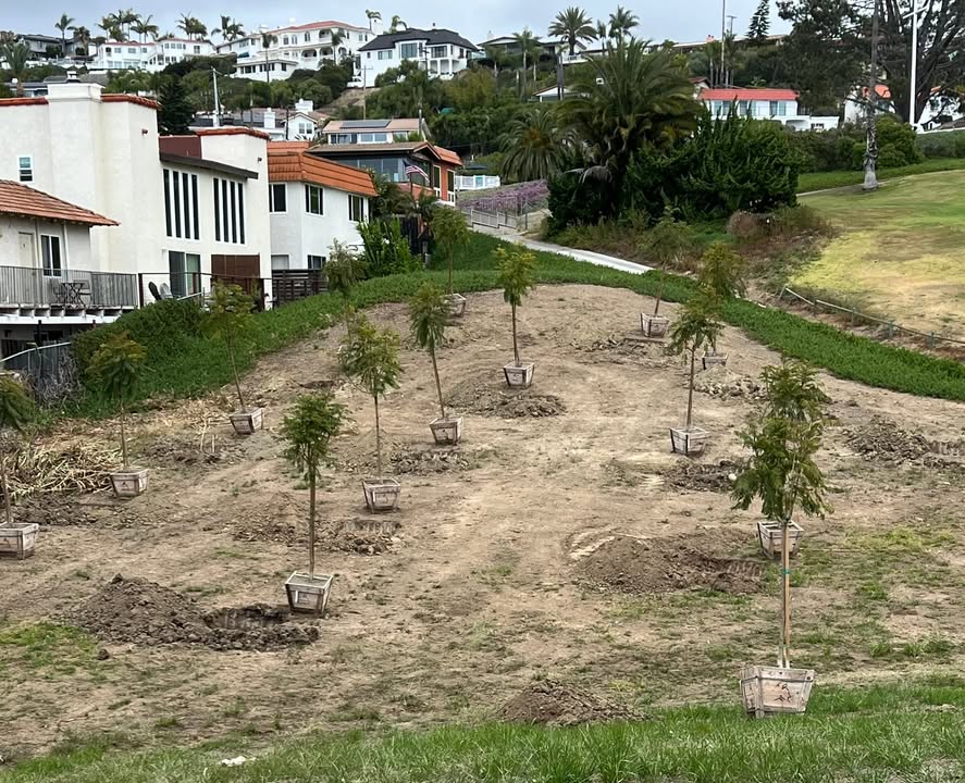 Rotary Club of San Clemente